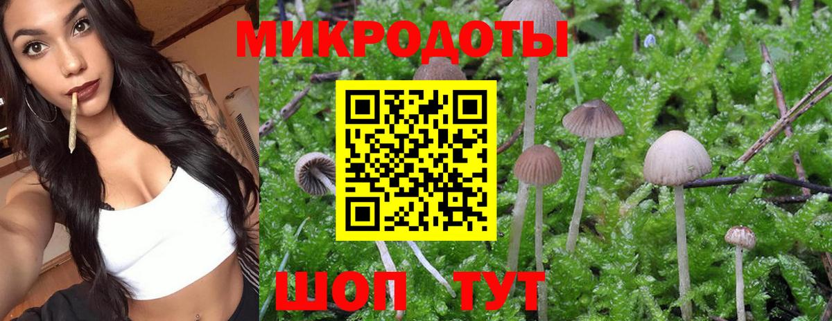 Псилоцибиновые грибы мухоморы  Псилоцибиновые грибы мицелий  Вход с VPN  Муравленко 