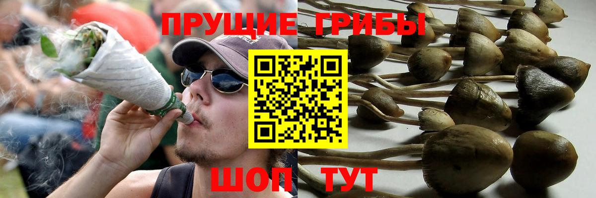 Псилоцибиновые грибы ЛСД Муравленко
